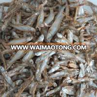 Animal Feed Dried Stockfish and Dried Fish(Dry Cat Food)